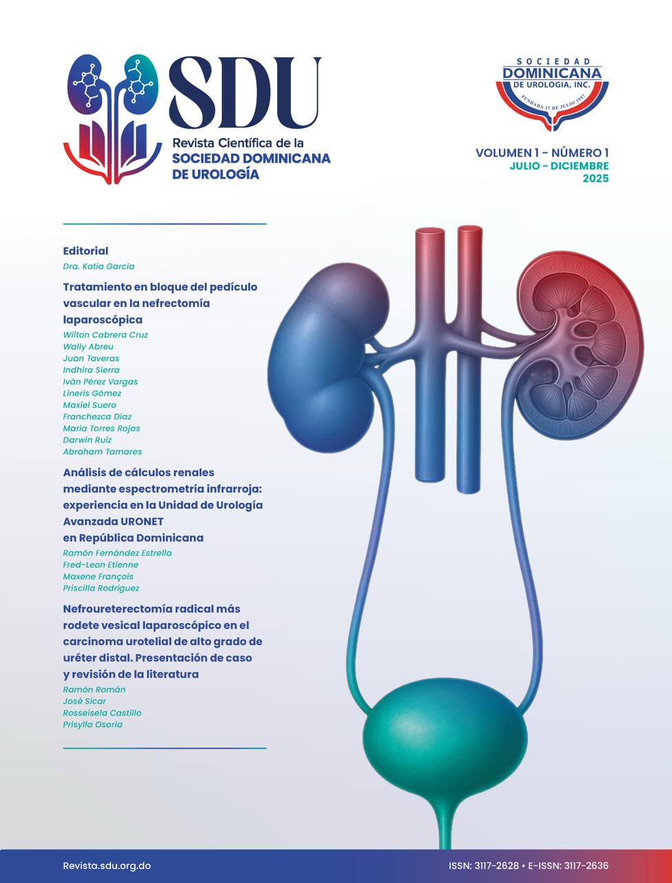                                                 Ver Vol. 1 Núm. 1 (2025): Scientific Journal of the Dominican Society of Urology (SDU)
                                            
